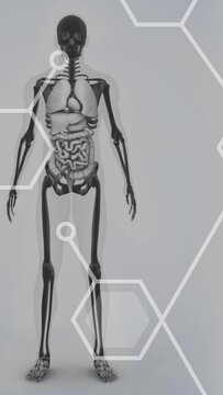 Animation of chemical formulas over human body model