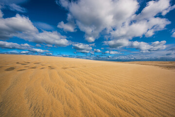 Fototapeta na wymiar Blue skies, fluffy white clouds and wind rippled sand dunes at North Carolina's Jockey's Ridge State Park
