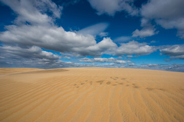 Fototapeta na wymiar Blue skies, fluffy white clouds and wind rippled sand dunes at North Carolina's Jockey's Ridge State Park