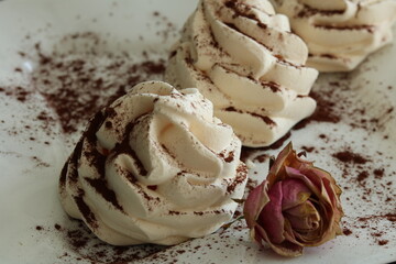 French vanilla meringue cookies in a white plate sprinkled with cocoa. Still life food style . Selective focus 