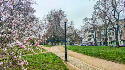 Fototapete bei efototapeten.de bestellen   