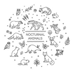 Linear banner nocturnal animals. Illustration