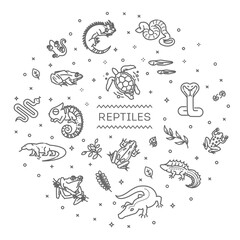 Reptiles and amphibians banner. Illustration