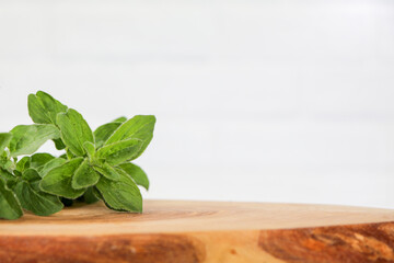 Oregano on cutting board, subway tile product background