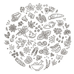 Spices, condiments and herbs banner. Illustration