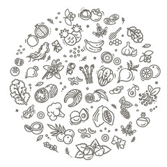 Superfoods illustration. Organic superfoods