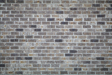 Light Brick wall for designing product mock ups