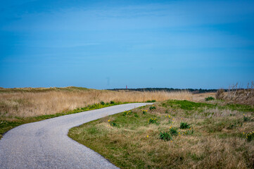 Radweg in D&uuml;nen