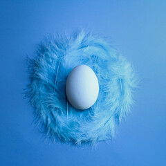 Egg on a bed of blue feathers on a blue background