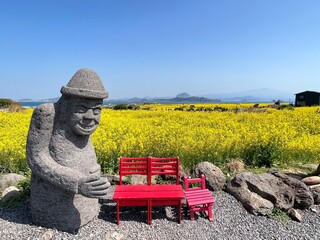 View from Gapado , Jeju, South Korea