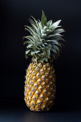 Ripe whole pineapple on a black background. Food poster.