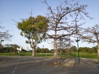 Green Beautiful View of Menachem Begin, Darom Park, Tel-Aviv, Israel