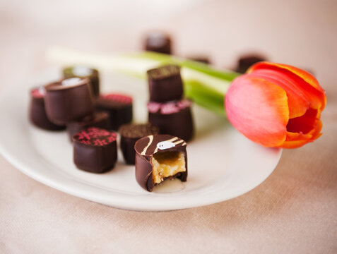 Gourmet Spring Chocolate with a Tulip; From Above