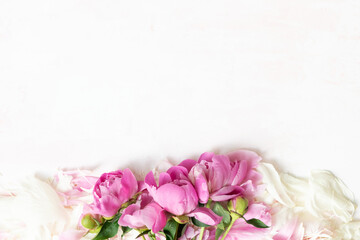 Abstract Border of Beautiful pink and white peony flowers with copy space for your text top view and flat lay style