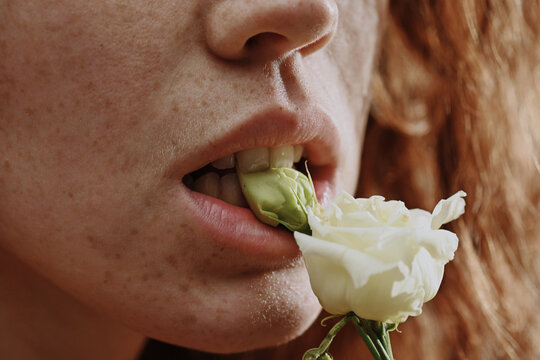 Close-up Of Woman Face With Freckles Holding White Flower In Her Mouth