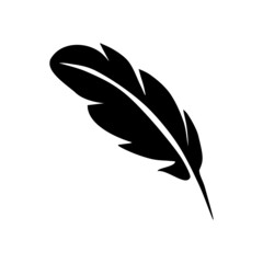 Feather of bird black hand drawn icon