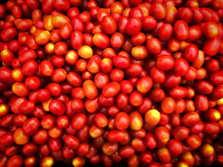 Red ripe organic tomato background. Selective focus