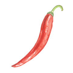 Red Chilli pepper watercolor set. Hot peppers. High quality photo