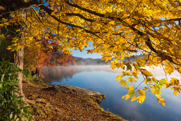 Autumn maple tree along the shore of Price Lake along the Blue Ridge Parkway in North Carolina - Powered by Adobe