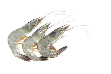 fresh raw shrimps on white background for food editing content. selective focus.