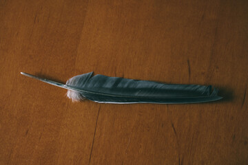 a feather for writing put on a wooden desk