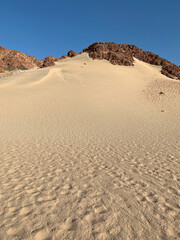 Sand dune from which tourists descend on a sandboard. Nabq protected area, Sharm El Sheikh, Sinai peninsula, Egypt, North Africa. Egyptian safari