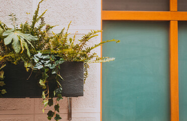 different green plants in a pot hanging on a bracket next to an opaque window
