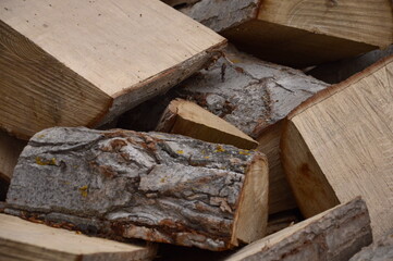 Troncos cortados. La tala de madera.