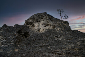 Felsen mit Baum bei Abendlicht  