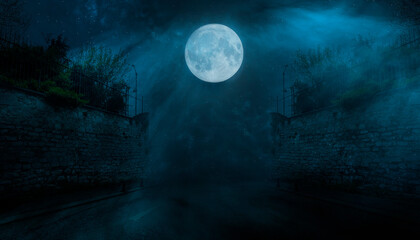 
Fantasy street landscape. Night dark old street, moonlight blue neon. Stone wall, concrete,...