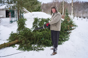 a senior man in a hat with earflaps holds a chainsaw in his hands and a sawn spruce lies nearby in...