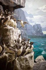 Penguins on a rock by a raging sea during the day