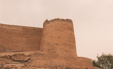 aquatic Saudi Arabia old town -  Tarout Castle - made from stone