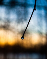 sunset over the lake