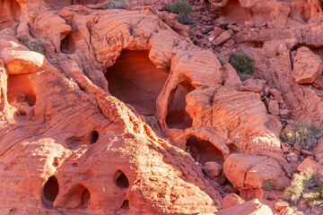 Overton, Nevada, USA - February 24, 2010: Valley of Fire. Closeup of Group of cave openings in tube-like structure of red rocks. Dry greenish shrubs in niches.