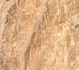 Still life background