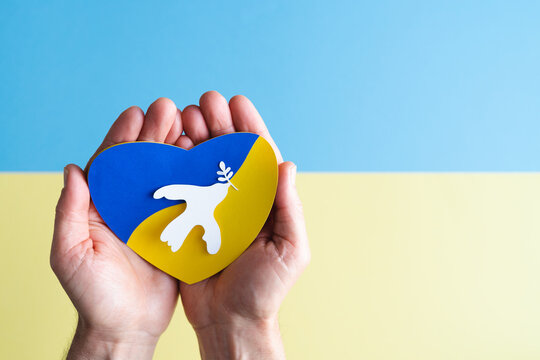 Hands holding white dove with paper olive branch over heart with Ukrainian flag. Copy space.