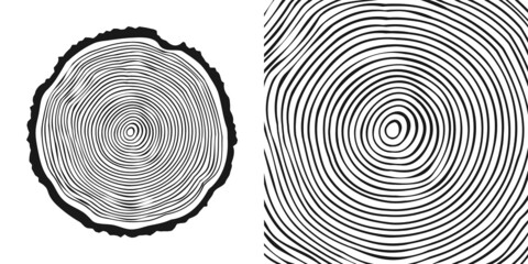 Round tree trunk cut, sawn pine or oak slice. Saw cut timber, wood. Wooden texture with tree rings. Hand drawn sketch. Vector illustration
