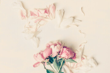 Beautiful retro pink and white peony flowers with copy space for your text top