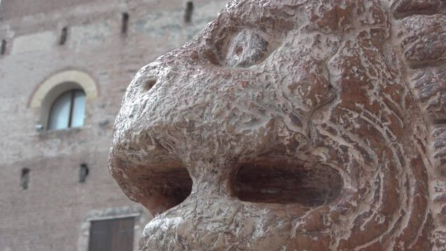 Details of the stone lion in front of the church of San Zeno, Verona, Italy