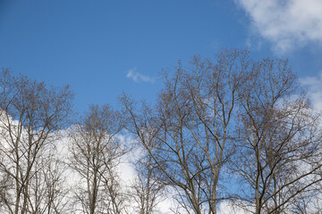 Spring sky with clouds.Beautiful sky. Sky background.