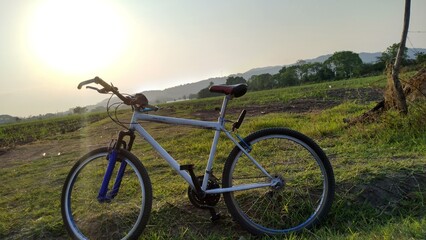 Fototapeta na wymiar bicycle in the field