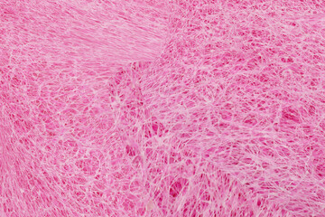 pink fiber polishing pads textured background, Texture of a abrasive scourer dishwashing sponge. Background of a scrub cleaning sponge close up.	