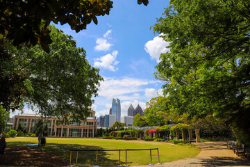 a gorgeous summer landscape in the garden with lush green trees, grass and plants with skyscrapers...