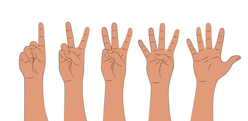 Hand shows fingers, counting from one to five isolated on white background. Cartoon set of counting hands. Hands gesture numbers. Vector illustration