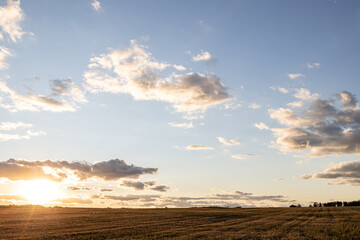 field skyline and setting sun on a summer evening