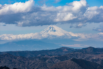 Fototapeta premium 富士山