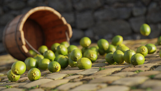 limes, juicy citrus fruits  rolling out of a wooden bucket