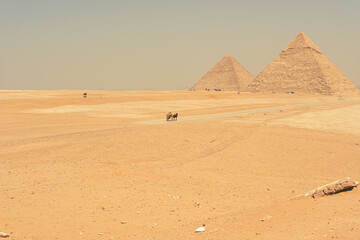 The Great Pyramid of Giza is a defining symbol of Egypt and the last of the ancient Seven Wonders...