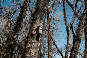 Feeder, birdhouse hang on a tree, winter time, March